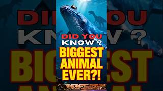 Download lagu Did You Know? Whales Are the Largest Animals Ever to Live on Earth mp3