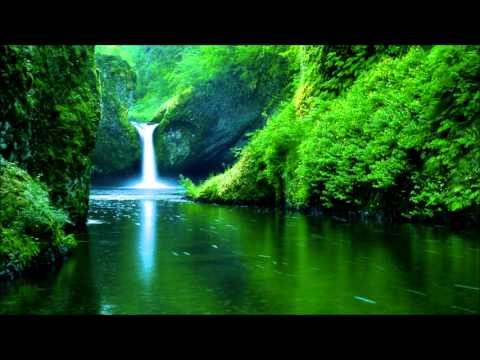 Brand X Music - Forgotten World