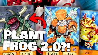 GIGAPLANT FROGS - HOP to the TOP Ep. 14 - Edison Format ft. Tim Pontes