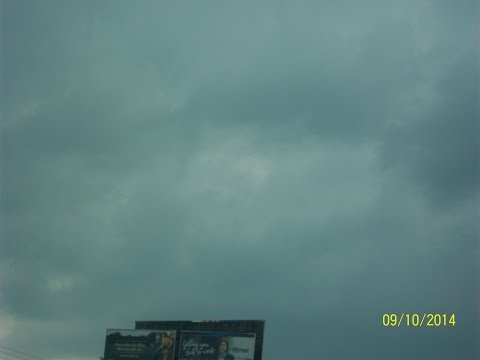 My Christmas Tree in August 2015