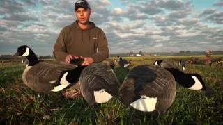 Flocked Head Canada Goose Silhouette Decoys - Product Preview