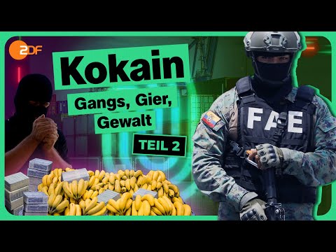 Kokain-Schmuggel: Ein Land am Abgrund (2/3) | Die Spur