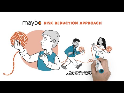 Maybo's Approach to Risk Reduction
