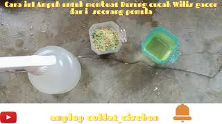 Download lagu Cara ini ampuh untuk membuat burung cucak Wilis menjadi gacor dari seorang pemula #cara #cucakwilis mp3 Download lagu Cara ini ampuh untuk membuat burung cucak Wilis menjadi gacor dari seorang pemula #cara #cucakwilis mp3