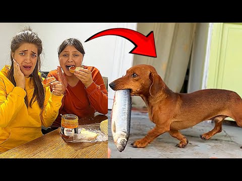 Maria and Antonela were left without FISH/ DODO is Guilty