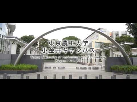 機械システム工学科 | 工学部 | 学部・大学院 | 国立大学法人 東京農工大学