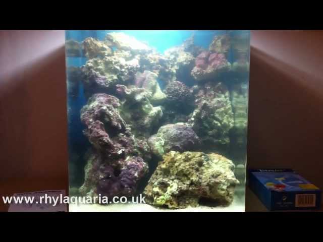 #1 - HOW TO SET UP A MARINE NANO REEF TANK