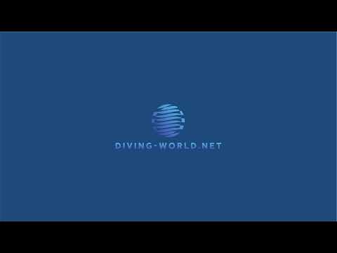 12th International Youth Diving Meet Dresden - Boys B 1m Final