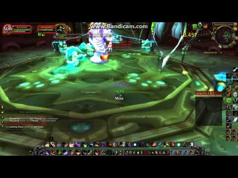 WoW MoP : Another Solo Rogue Attempt on Lady Vashj