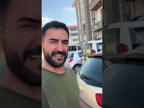 Sıcaktan Apartman Kapsında Bekleyen Sevimli Kedi Acun ve Arkadaşlarına Soğuk Su ve Yemek İkramı