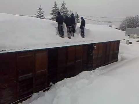 Meanwhile in Sarajevo, šošoni in action (Welcome to Hospital)