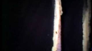 Conrad Schnitzler: Collection A #18 Mehr Spaß