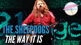 The Sheepdogs - The Way It Is (Live at the Edge)