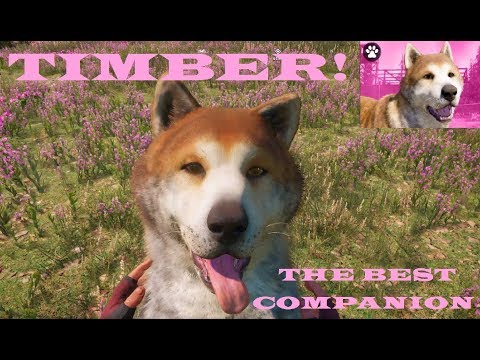 FAR CRY: NEW DAWN - TIMBER THE TRACKER DOG  | BEST COMPANION IN THE GAME FROM THE START!