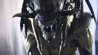 UNDERSTANDING THE 7 TRUMPETS OF REVELATION SERIES: PART 6 THE SOUNDING OF TRUMPET 5