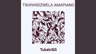 Download lagu Tshivhidzwela Amapiano mp3