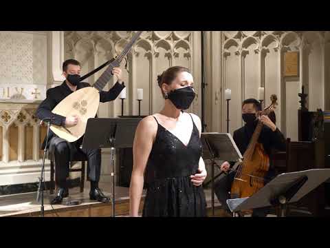 Favus distillans by Merula