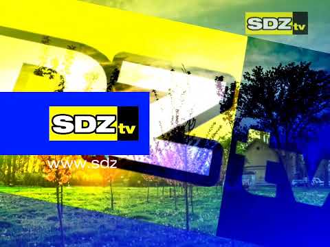 SDZ TV Ident #2 (2015-2018)