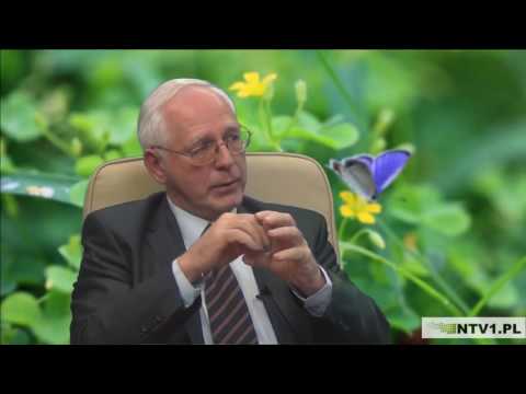 Ból w kości na stopie na palucha Wpadać na szczycie stóp traktowania środków ludowej
