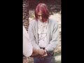 Nirvana Smells Like Teen Spirit ﻿Ｄｏｏｍｅｒ