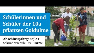 A hohenmölseni Drei Türme középiskola végzősei fát (arany szilfát) ültetnek emlékül. Frank Keck igazgató kíséri a szertartást. A 2021-es év utolsó 10a osztálya.