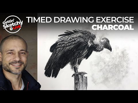 Gettin' Sketchy LIVE - Timed Drawing Exercise - Unloved Bird