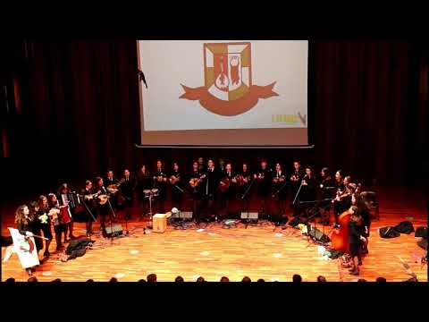 O tempo não para - TUNAFE :: I Searas