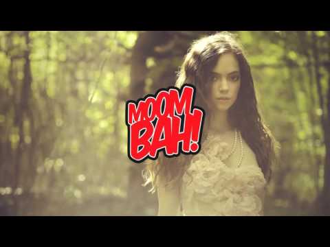 Afrojack & Silvio Ecomo & Chuckie - Moombah (Davy Nataf edit)