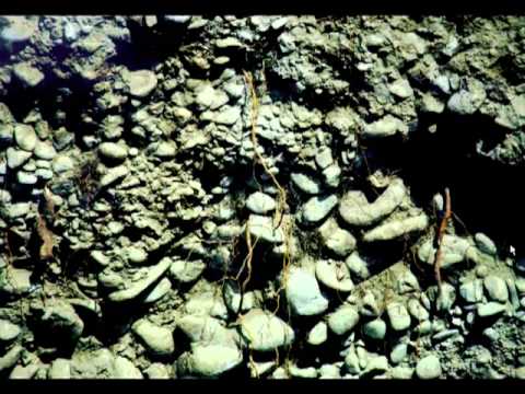 The Science of Good Taste -- Geology, Wine and Food