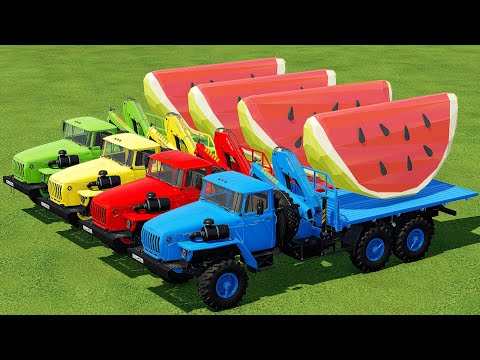 LOAD & TRANSPORT WATERMELONS WITH COLORED URAL TRUCKS - Farming Simulator 22