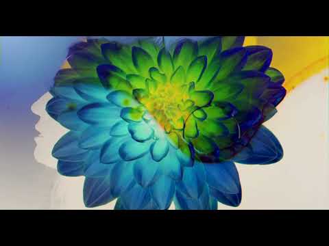 Billie Zizi Everything in between(official music video)