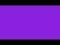 Purple 4K 60FPS 10H Screensaver