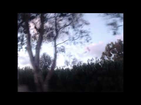 [FREE] CLOUD RAP / YUNG LEAN TYPE BEAT ☁️