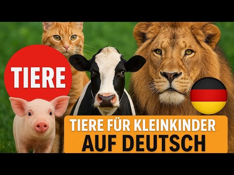 Tiere für Kleinkinder | Tierlaute Tiernamen Tierstimmen Tiergeräusche Kinder lernen deutsch