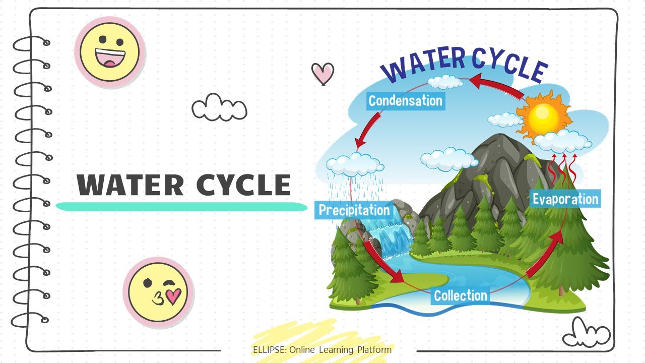 The Water Cycle: A Complete Guide to Earth's Water Systems - Ellipse: Online Learning Platform