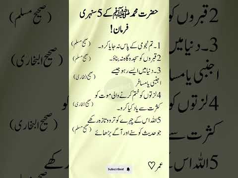 5 Golden Commands of Prophet Muhammad ﷺ | Islamic Reminder | Hadith Quotes#shorts