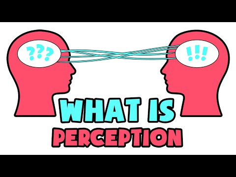 What is Perception | Explained in 2 min