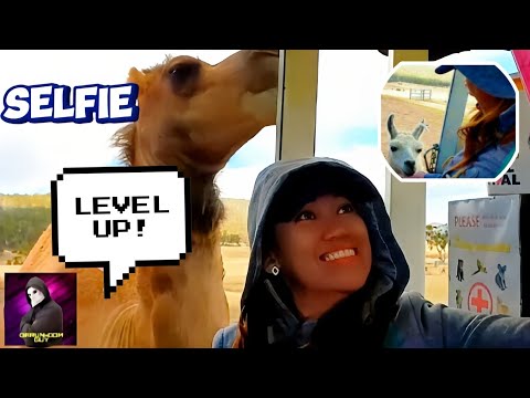 Want To Level Up Your Selfie Game? Go Here 😁 #australia #zoo #animals