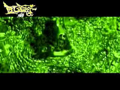 "Eny am beara" TONGUE NAT