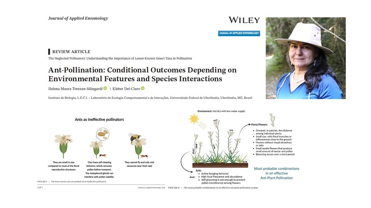 Ant Pollination - Published in Journal of Applied Entomology