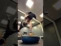 What Would You Do If I Was In Your Gym Calisthenics Streetworkout Gym Calisthenicsgym