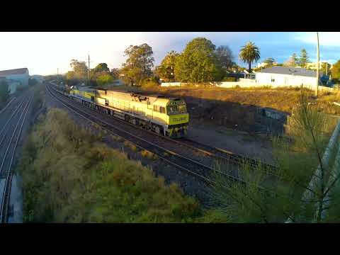 4wb7 at waratah QL14* 03 #16* 8* 23.