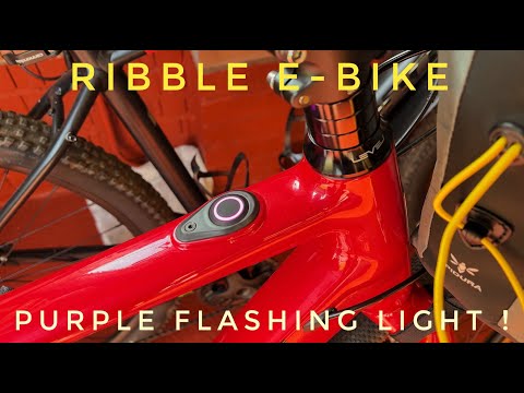 Ribble e-bike purple flashing light fault - MAHLE X35 motor