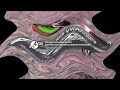 The Green Duck With Demo Sound Color Effects Exo 2