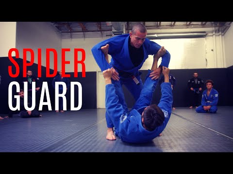 BJJ Techniques | Spider Guard Pass | CVBJJ Online