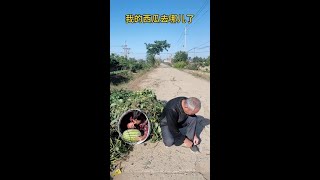 Download lagu 3xgw2svbgrf6qrq.mp4 mp3