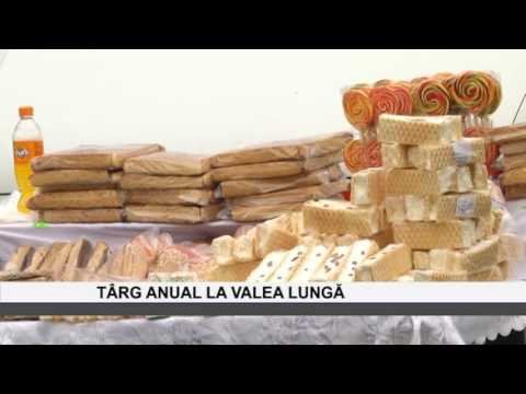 Targ anual la Valea Lunga - www.columnatv.ro