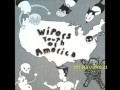 Wipers /Taking Too Long (in reverse)