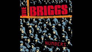 The Briggs - Heroes By Choice