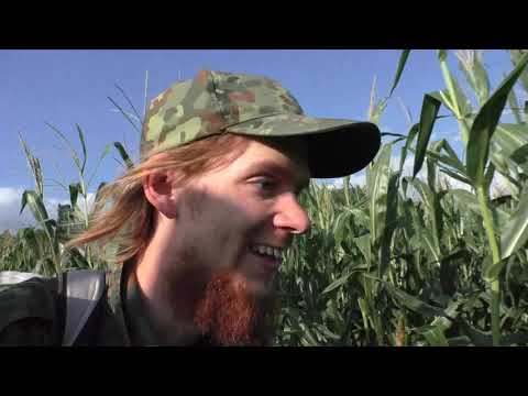 Zeltlager TV - Orientierungslauf Challenge eskaliert !